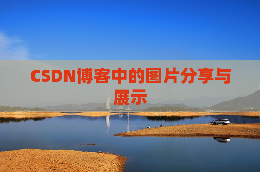 CSDN博客中的图片分享与展示